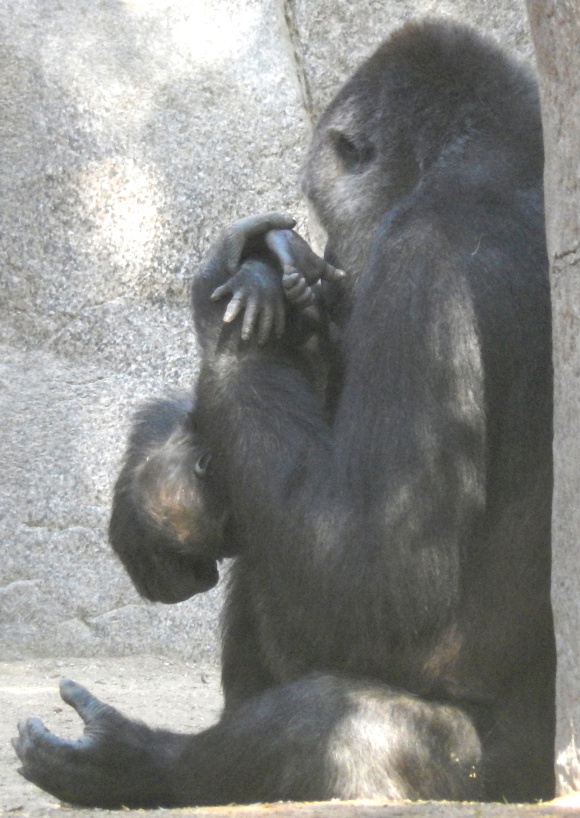 Photo by Denise Carlson of Imani playing with baby Joanne.